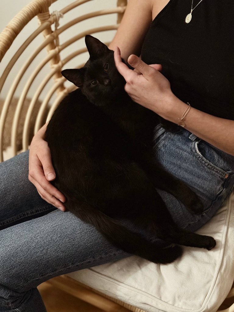 Bliski kontakt z czarnym kotem podczas terapii z udziałem kota. Indywidualna felinoterapia Kraków dopasowana do potrzeb pacjenta.