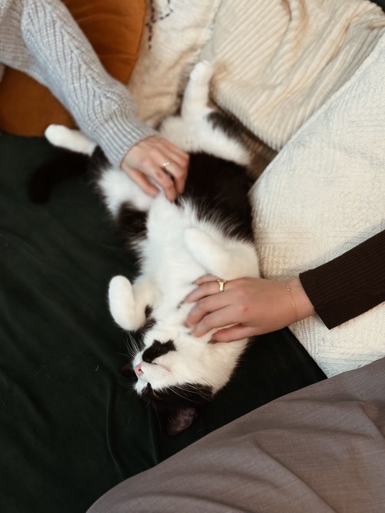 Czarno-biały kot leżący na plecach, ufnie poddający się głaskaniu przez dwie osoby w czasie terapii grupowej. Bezpośredni kontakt z kotem to kluczowy element felinoterapii w Krakowie.